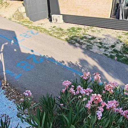 Annika Mar キャンプ場 *