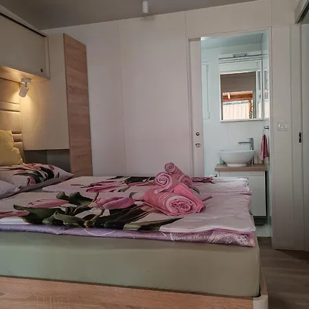 Annika Mar * 塞尔瑟