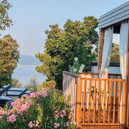 Annika Mar 塞尔瑟